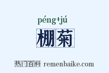 棚菊是什么意思的图片